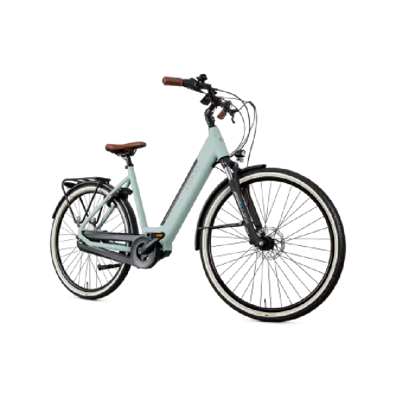 Elektrische fiets